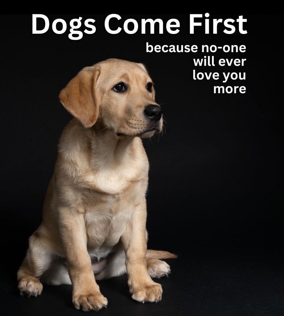 dogs come first meme