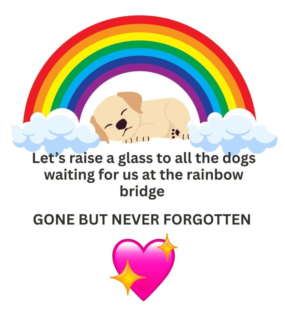 rainbow bridge dog meme