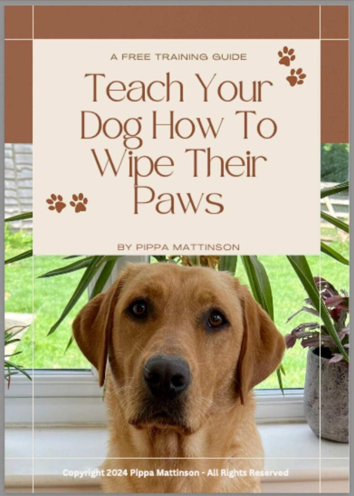 cover of pdf printable game: Teach Your Dog To Wipe Their Paws
