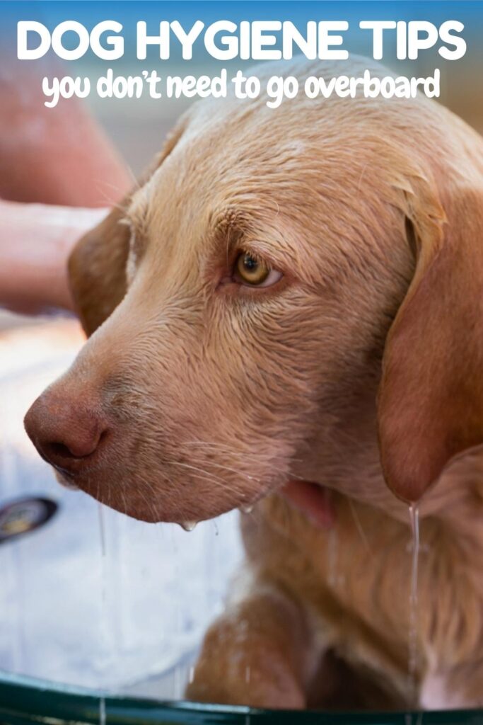 photo of dudley lab being washed