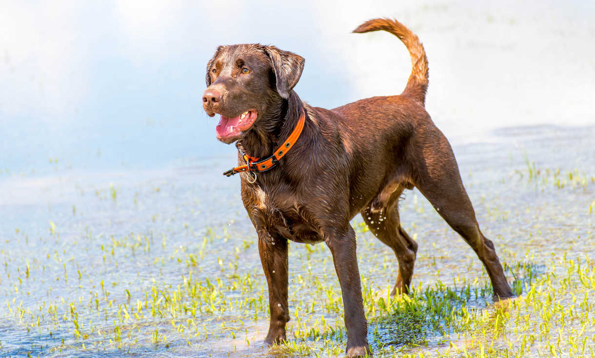 Make sure there are no distractions