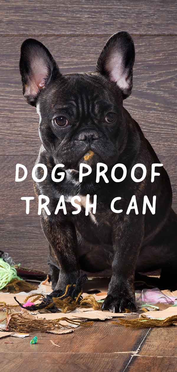dog proof trash can