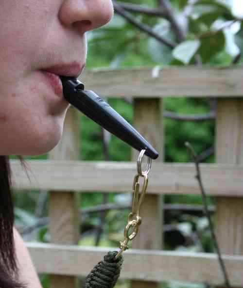 blowing my acme whistle