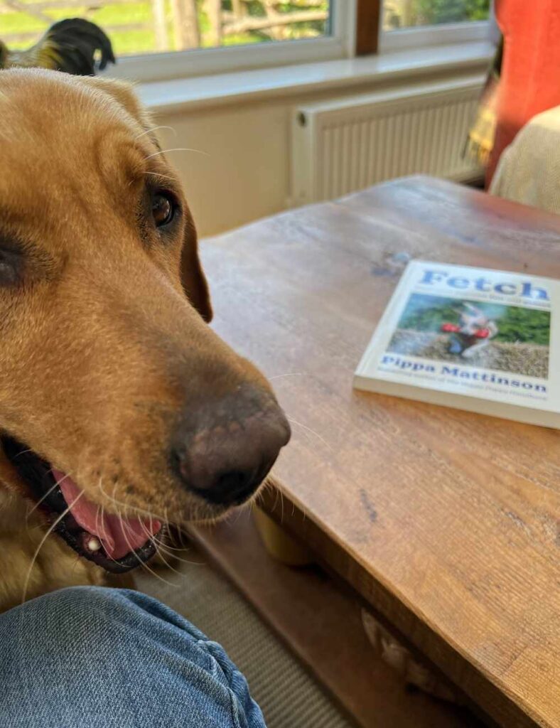 photo of a yellow labrador retriever in front of a wooden coffee table on which there is a copy of a book called Fetch