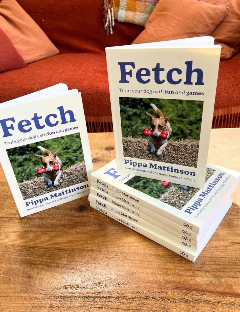 photo of books - fetch by Pippa Mattinson - on a wooden table