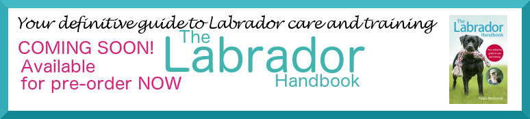 labrador-handbook-banner1