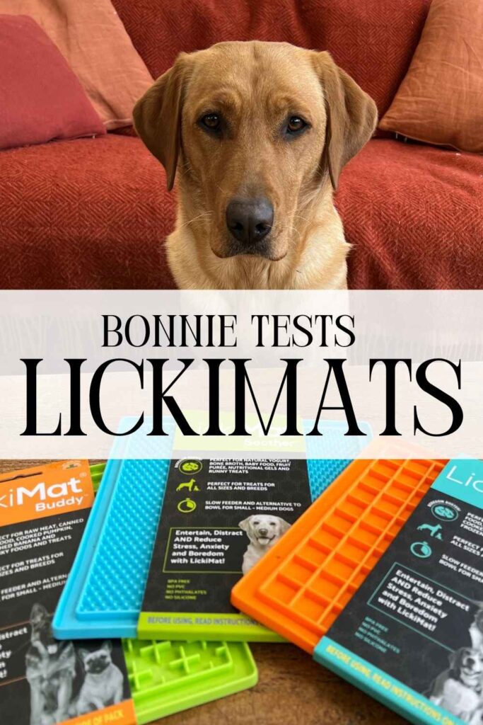 photo of a fox red lab above a photo of some lickimats with a text overlay that reads Bonnie Tests Lickimats