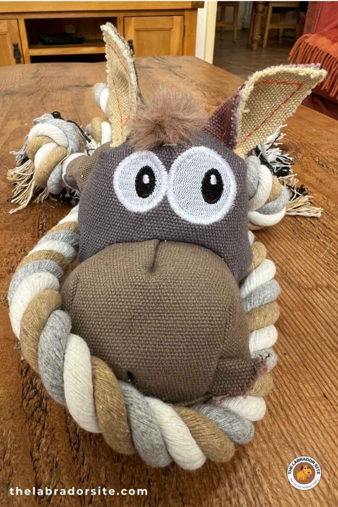 photo of a cute cow tug toy