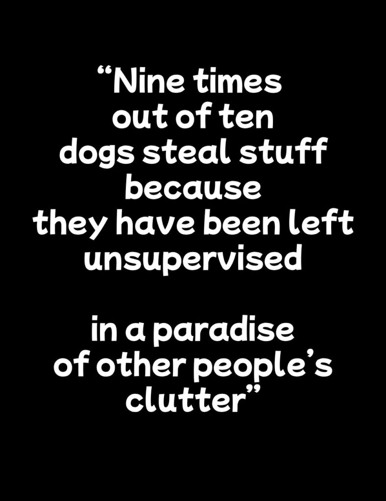 text quote that reads: nine times out of ten, dogs steal stuff because they have been left unsupervised, in a paradise of other people's clutter