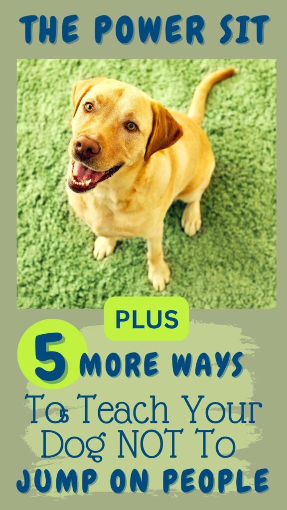 photo of yellow labrador sitting politely with text overlay that reads: Power Sit plus 5 more ways to teach your dog NOT to jump on people