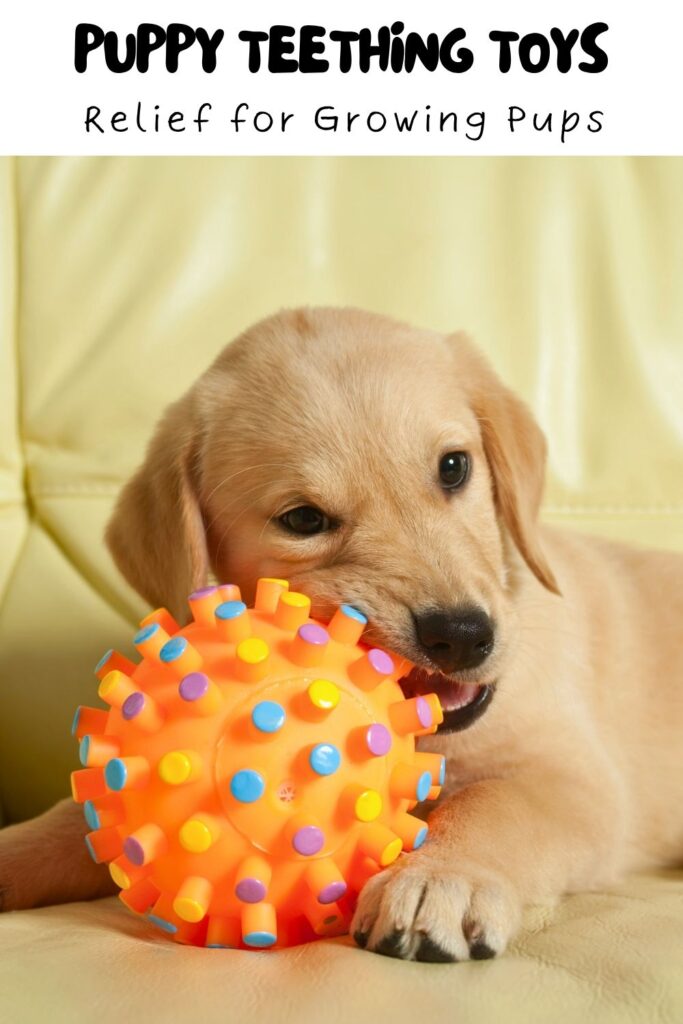 photo of a yellow lab puppy chewing on an orange teething toy