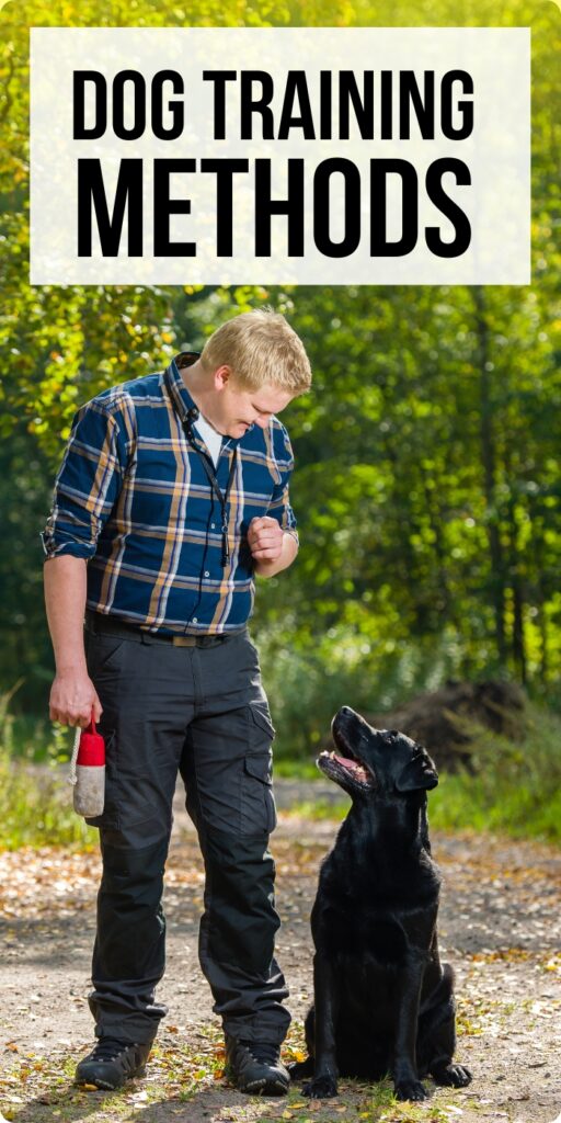 black labrador sitting attentively next to a man in a check shirt