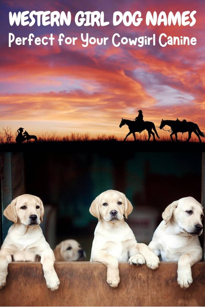 photo of yellow labrador puppies on a backdrop of a western image with horses on a horizon