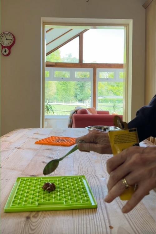 green lickimat with teaspoon of wet dog food