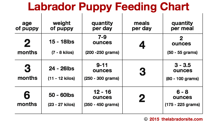 puppy feeding chart